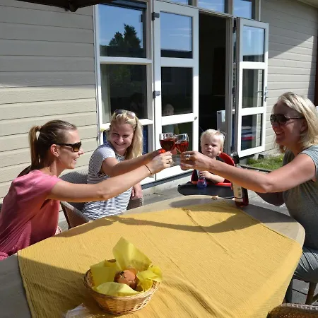 別荘 In South Holland With Unique Design